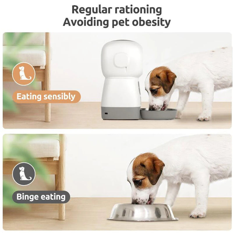 Dispensador Automático de Comida para Mascotas 3.5L con WiFi y Grabación