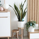 Sensor Inteligente Zigbee para Suelo – Temperatura y Humedad de Plantas