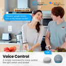 Interruptor + Enchufe Inteligente WiFi con Panel de Vidrio – Alexa y Google